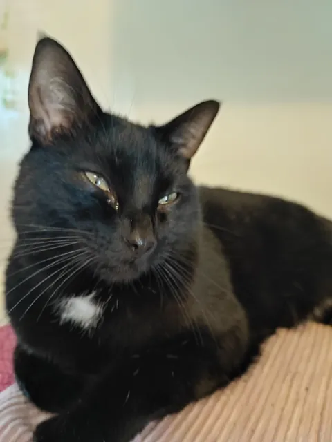 He found me crying . He crew too . We both crode 😭 aka I told him to stay away from the kitchen while I make french onion soup