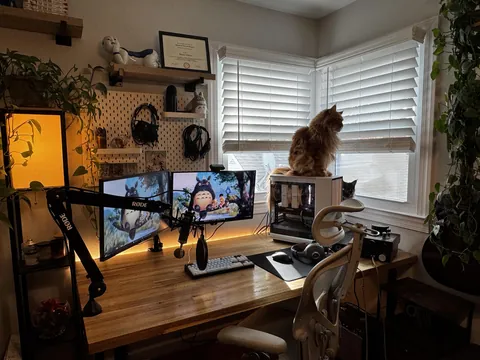 Cozy setup with cats