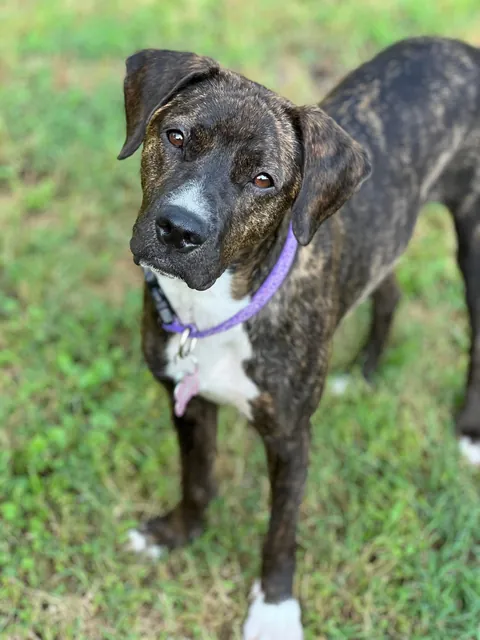 My mommy says I’m a very pretty girl