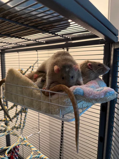 lol why is Bean like this?