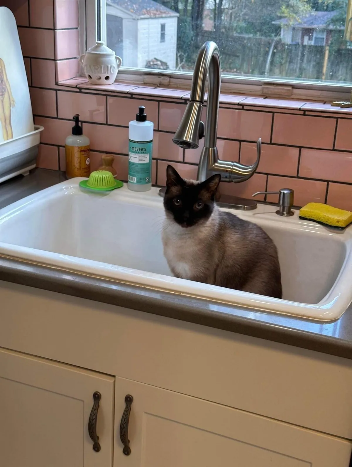 my first home and favorite place to be