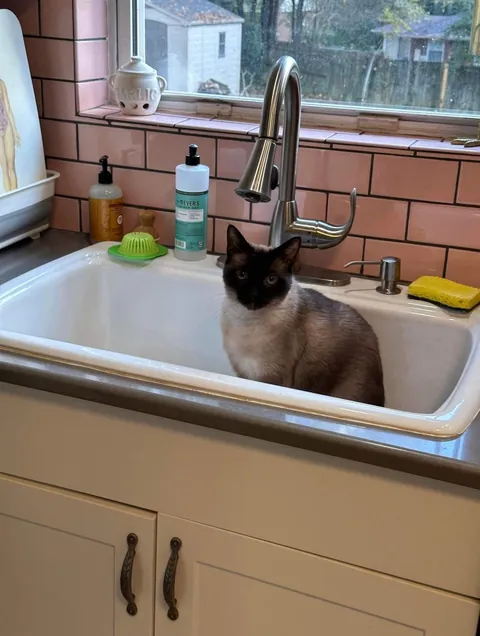 my first home and favorite place to be