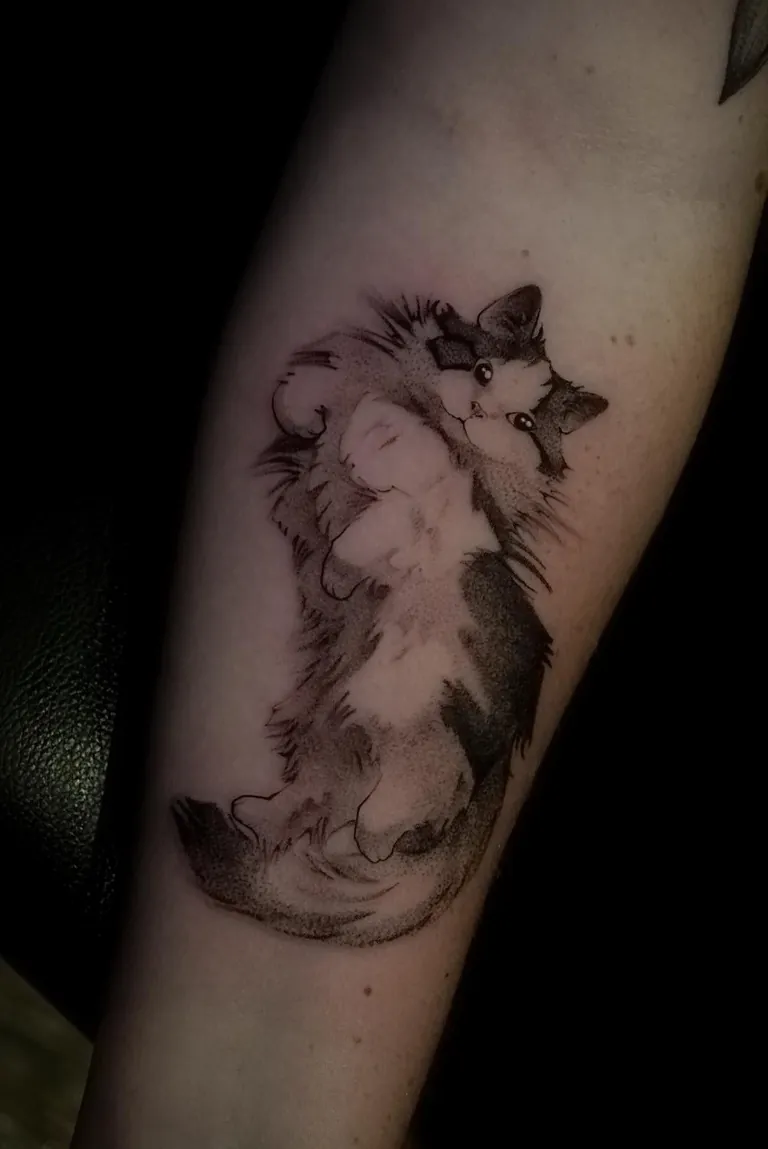 My cat that I asked for vs the tattoo I got