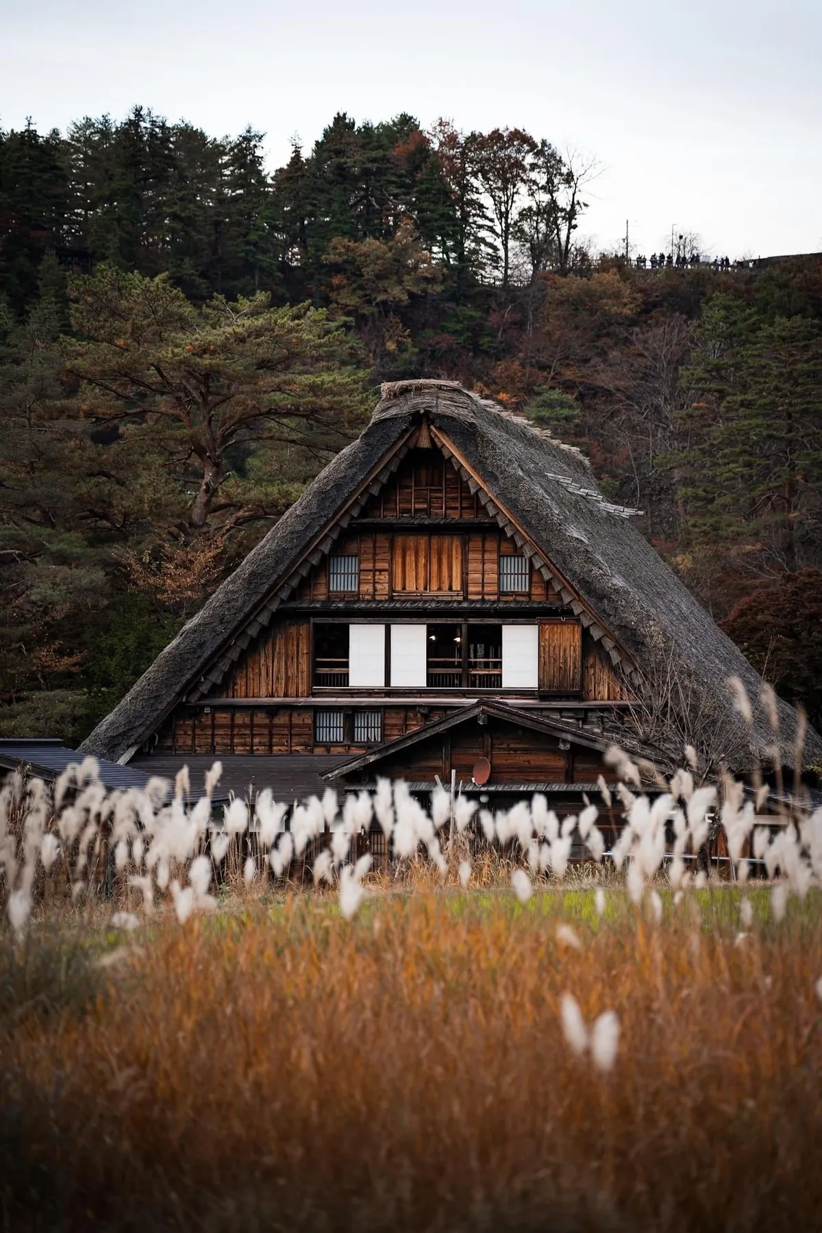 A walk in Shirakawa-gō, Japan
