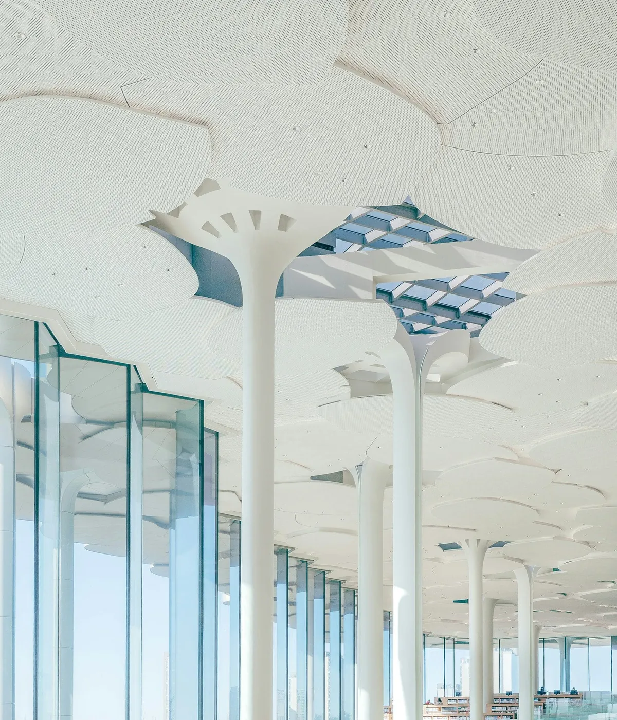 Beijing City Library by Snøhetta, 2024