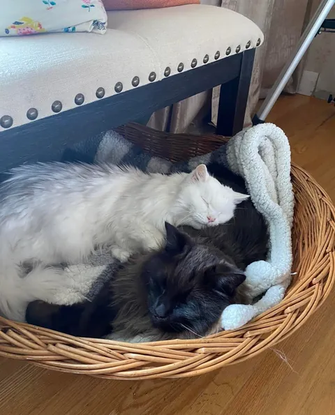 My Void with his Cloud 