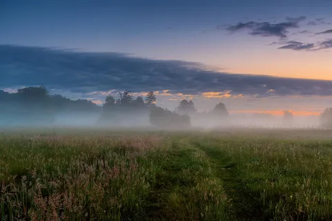 Foggy morning, Poland [OC][1600x1067]