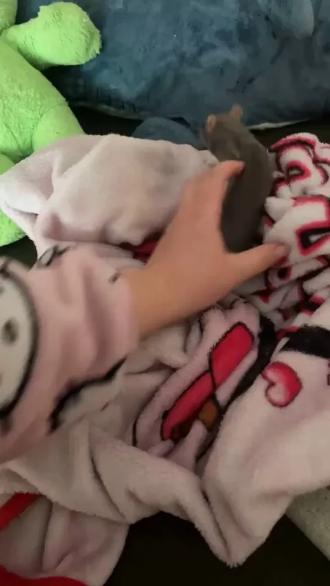 Am I playing with her, or am I terrorizing her ??