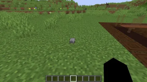 I made a Trap Door Trap Door