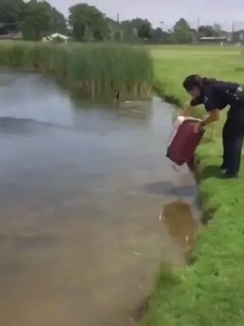 She adopted them without question