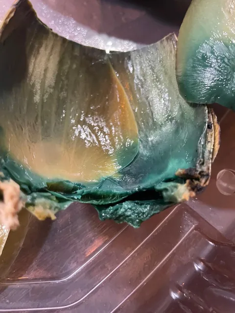 Ordered takeout and this is how all of my artichokes came. Before I ask the restaurant "WTF?", is this WTF worthy or are teal artichokes a thing?