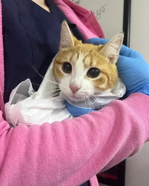 Can we just appreciate these eyes for a second? 🥺