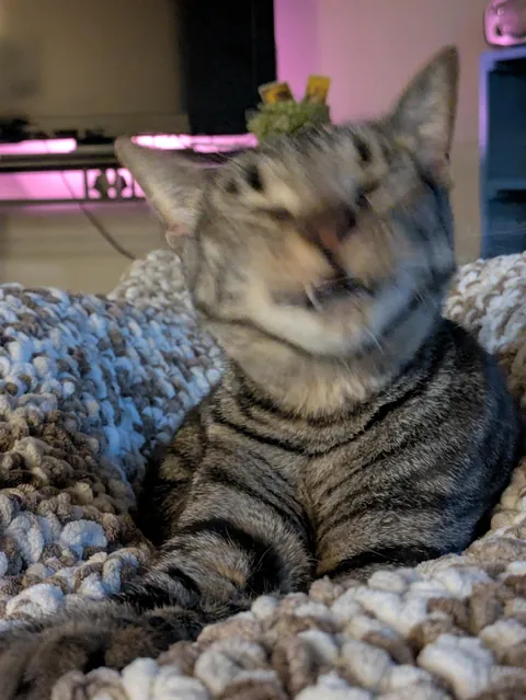 My bubba passed away suddenly.