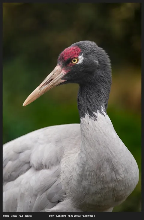 Some of my favourite images from Bhutan