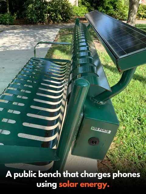 Design that puts People, Animals and Nature first.