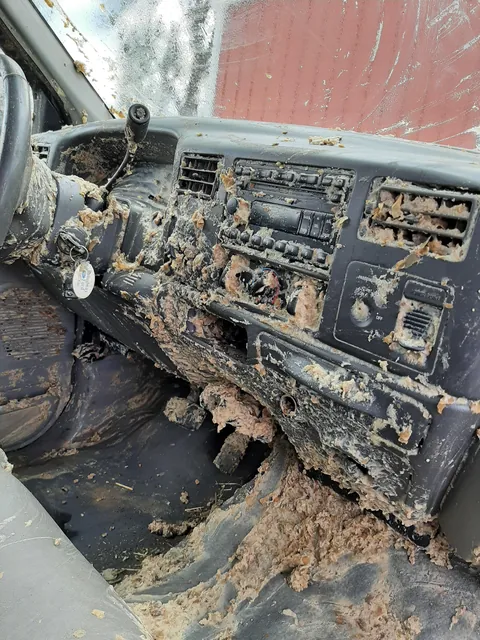My dad's old truck got hit by a truck carrying old rotten potato slurry to a feed lot for cows. His passenger window was down....