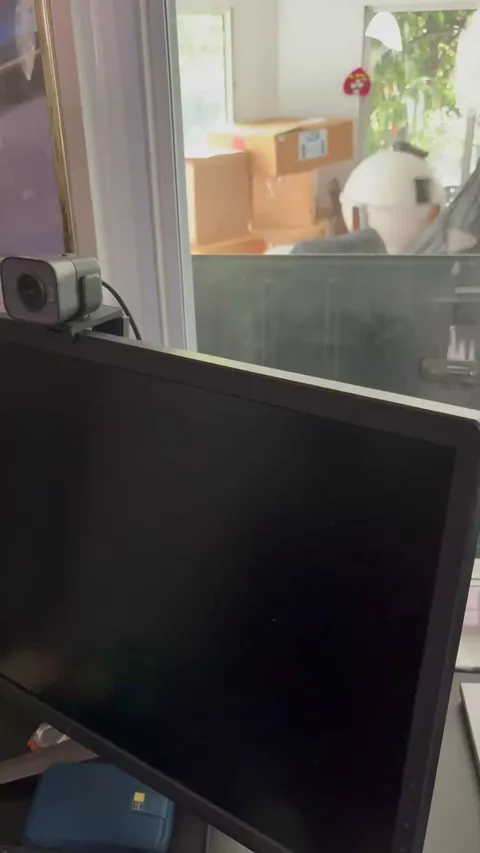 My asus PG27UQ monitor started smoking today