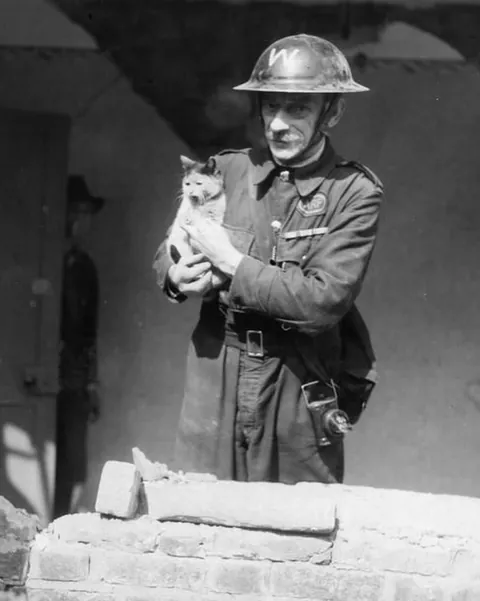 In WWI, around 500,000 cats served in trenches and on ships—controlling rats, boosting morale, and even acting as early gas detectors. They brought comfort to soldiers in the chaos of war. (Some pics are from WWII)