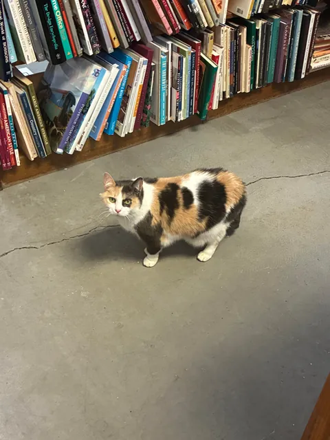 I asked this bookstore employee where the film book section was moved to