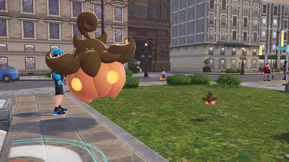 Alpha Jumbo-Variety Pumpkaboo vs. Extra Small Small-Variety Pumpkaboo