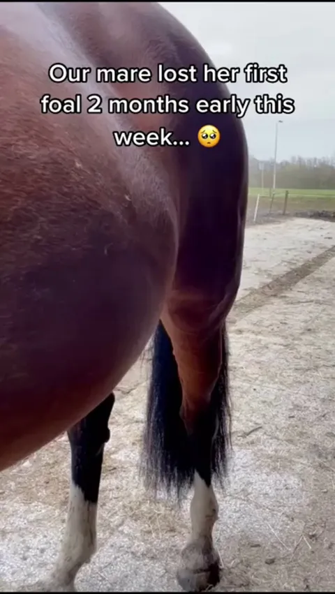 They needed each other