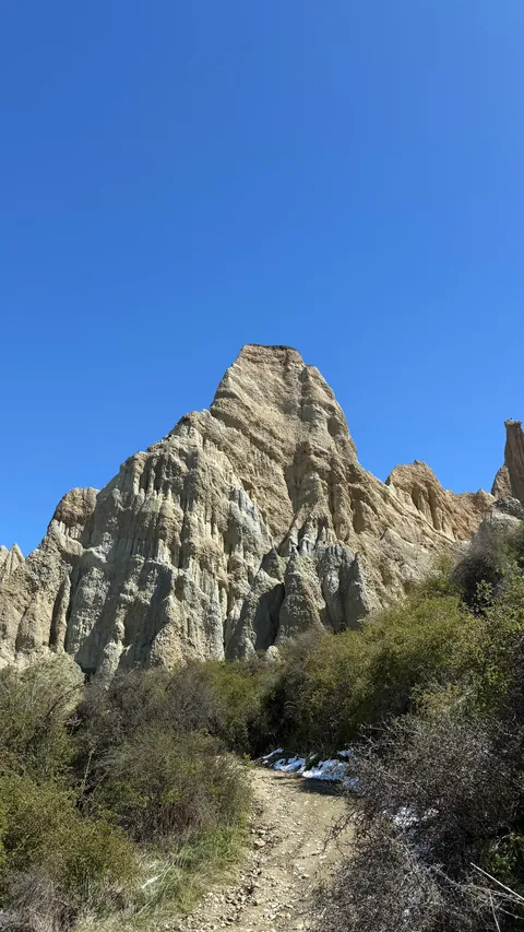 Very Recent Trip to New Zealand (Oct end) Jo