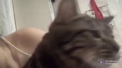 Cat’s reaction to getting a kiss