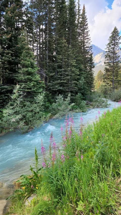 A beautiful part of Moraine lake here in Alberta (OC) (2252x4000)