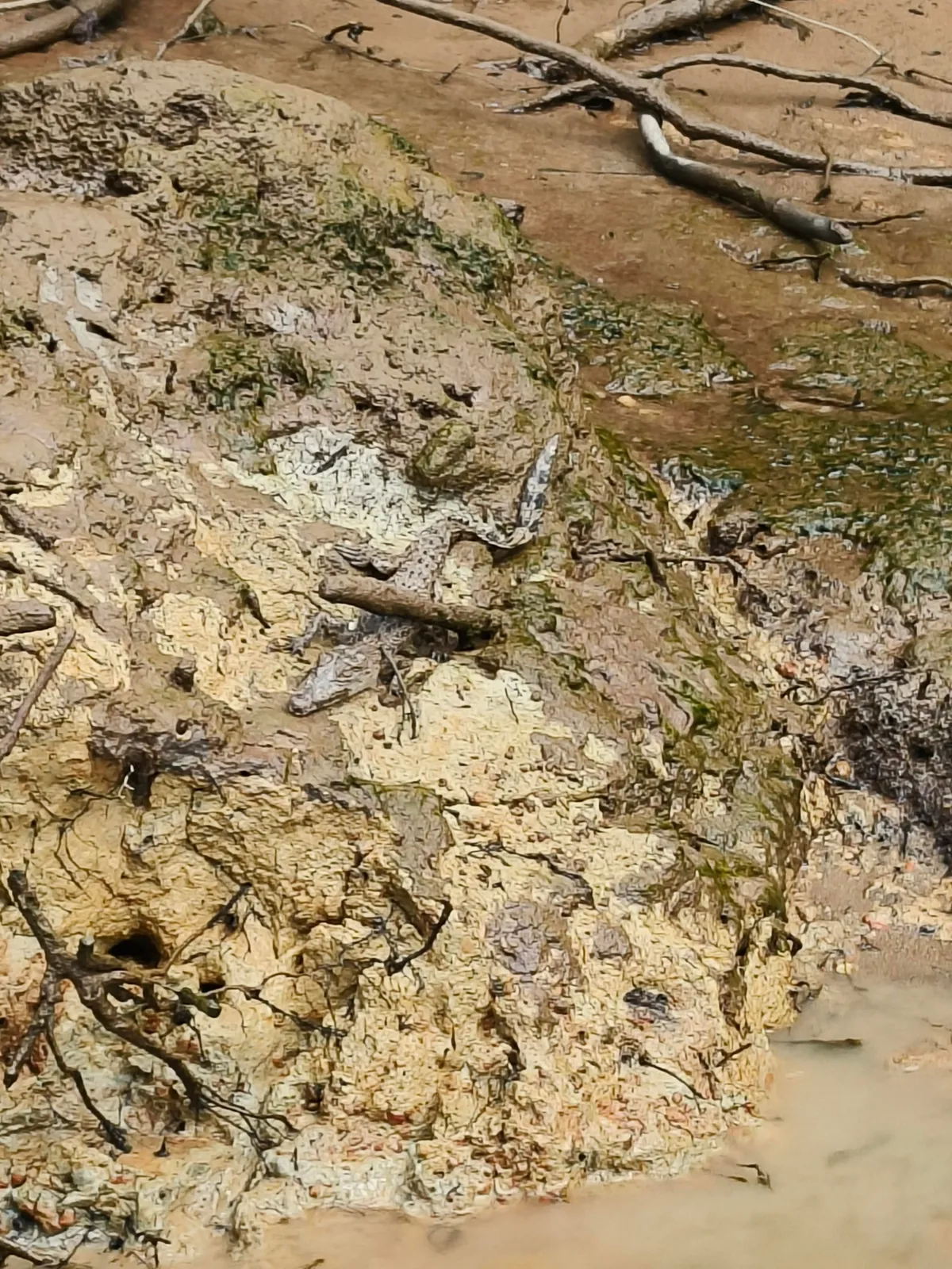 I spent a month travelling around Fiji 🇫🇯 and Australia 🇦🇺 (Sep - Oct 2025)