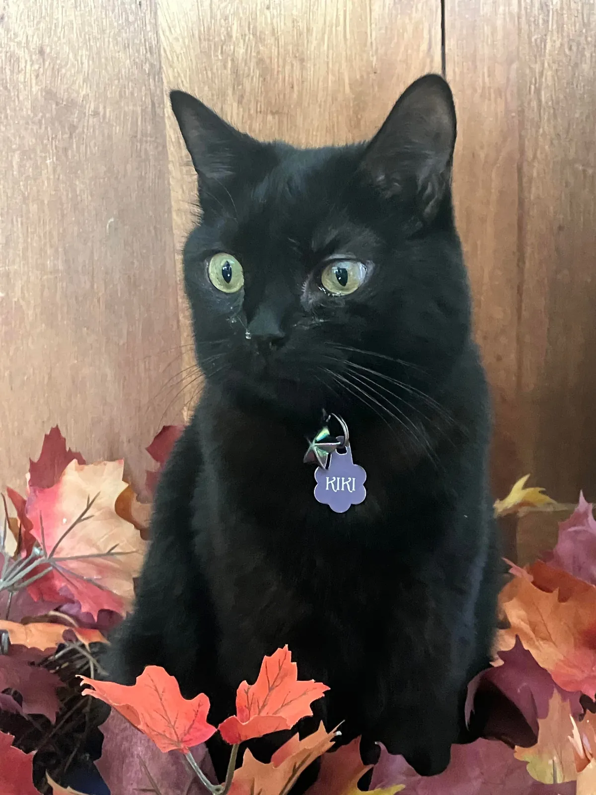 It’s always Halloween as long as you’ve got a void!