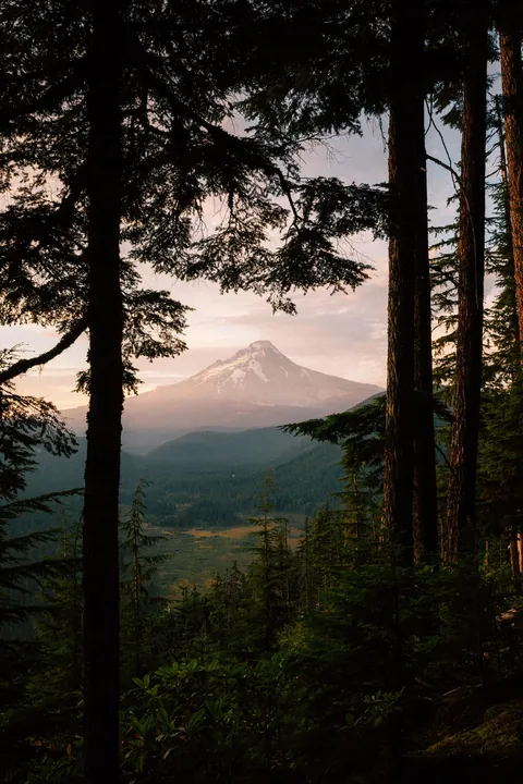 I hiked 2650 miles from Mexico to Canada on the Pacific Crest Trail