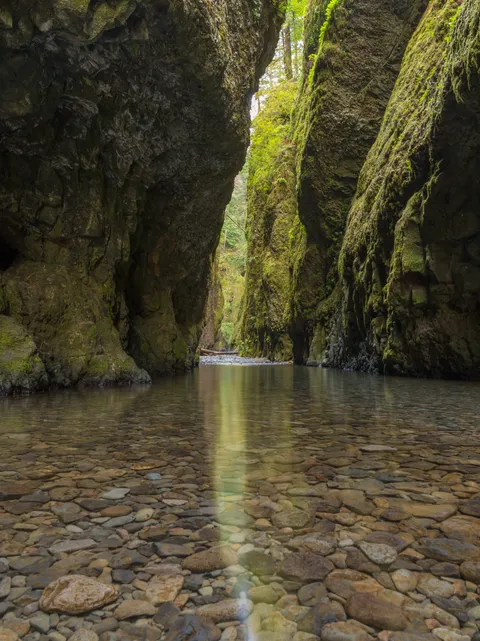 It might be just me, but I'm getting kind of tired of the "extreme" stories people are mentioning to talk about a photograph. This just happens to be one of the more beautiful places I've been - nothing more, nothing less. Oneonta Gorge - OR [OC][3761x5022]