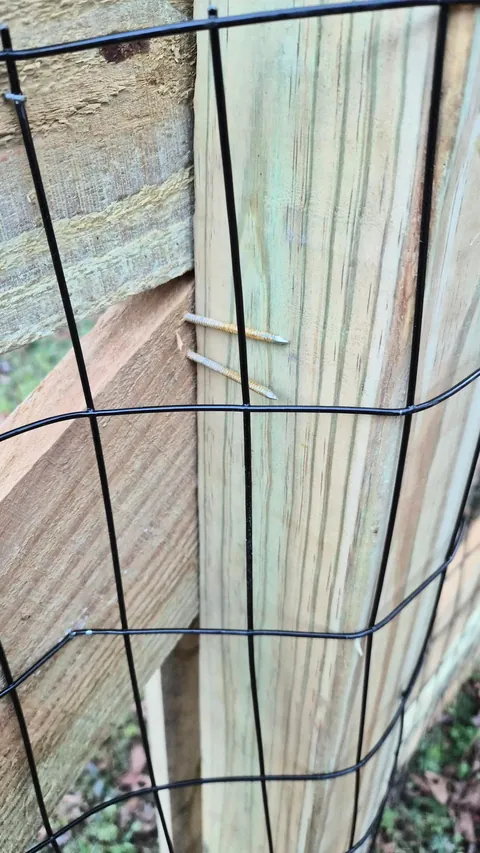 Went with the "under dog" company to build a fence and this is what I'm left with