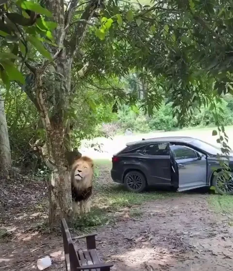 Who are we hiding from?