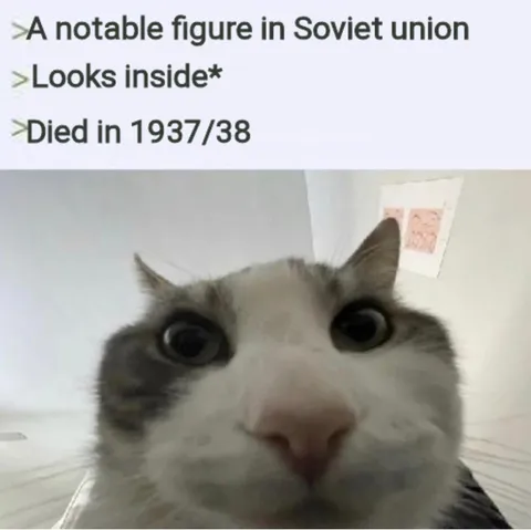 I'm staring to think there was something going down at the time