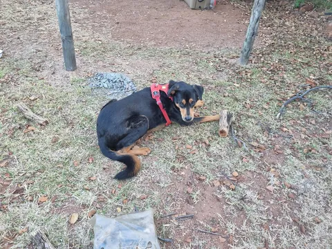 Took my boy camping a little while ago