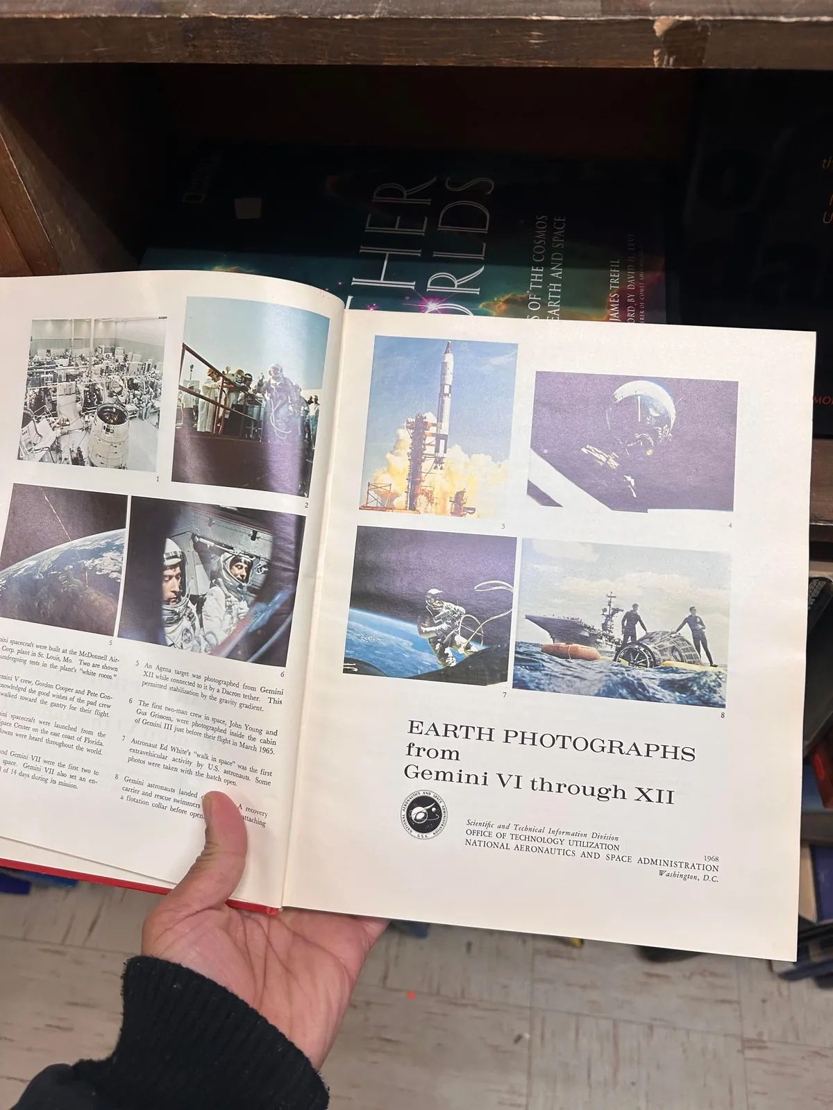 At the same bookstore right now. Found the sequel!