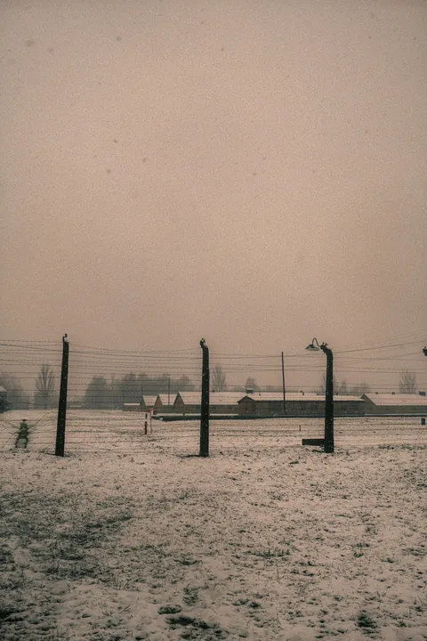 Auschwitz-Birkenau: Nazi German Concentration &amp; Extermination Camp (Poland)