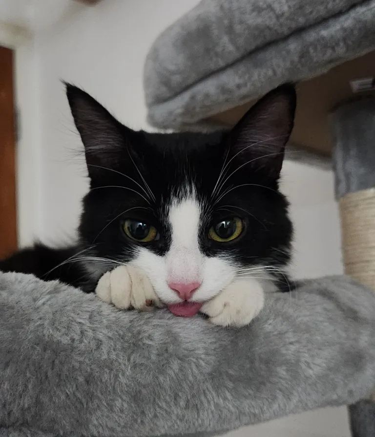 She likes showing her tongue