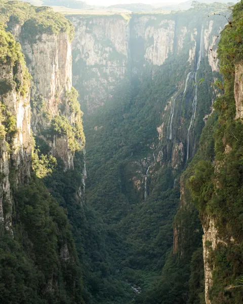 Itaimbezinho Canyon, Rio Grande do Sul, Brazil [OC] [4000x5000]
