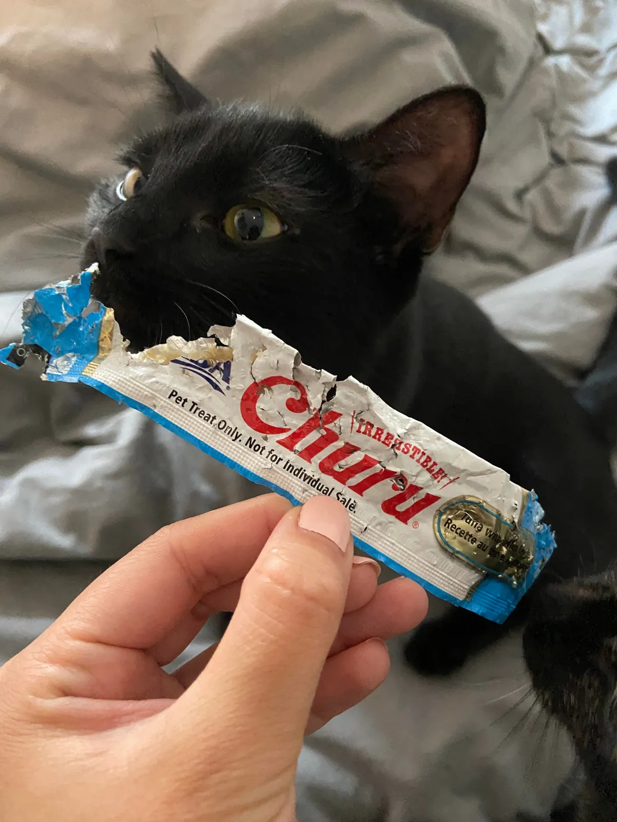 I can’t leave UNOPENED Churus lying around anymore