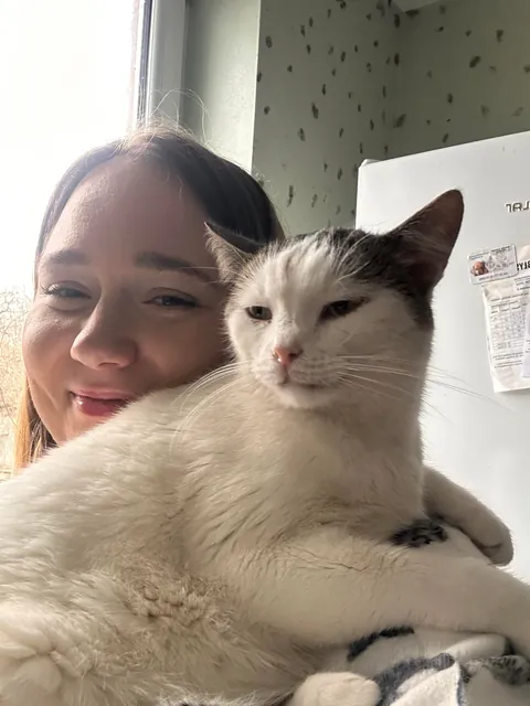I volunteer at a cat hospice and it’s a place full of love