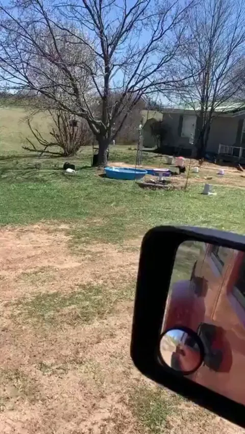 Mom’s home! Mom’s home!