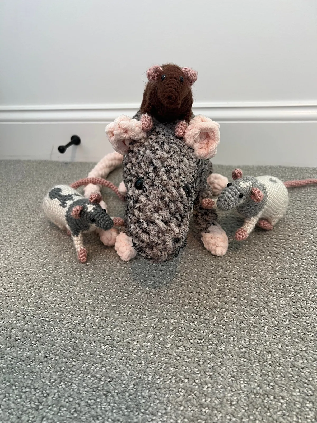 Guys are my rats ok?! They look a little funny…