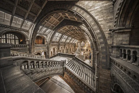 Interior of the Natural History Museum, London.
