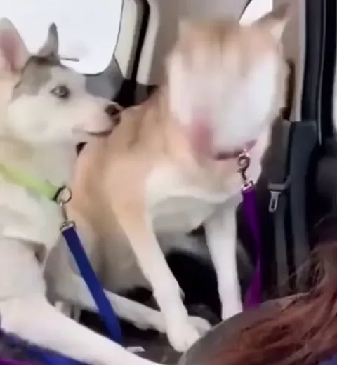 When you said bless you five times already