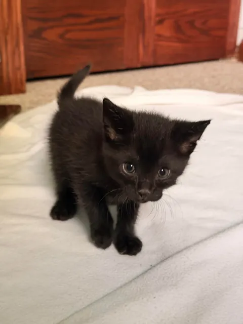 How it started 5 weeks ago. How it’s going now