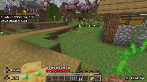 What the hell happened to my chestplate? (Bedrock)