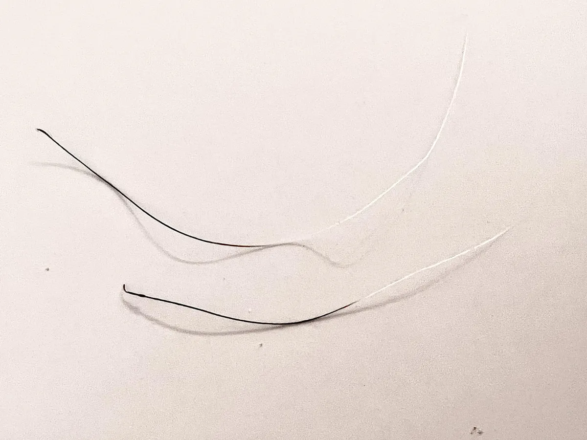 Some of my grey hairs have started turning black again