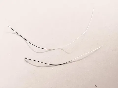 Some of my grey hairs have started turning black again